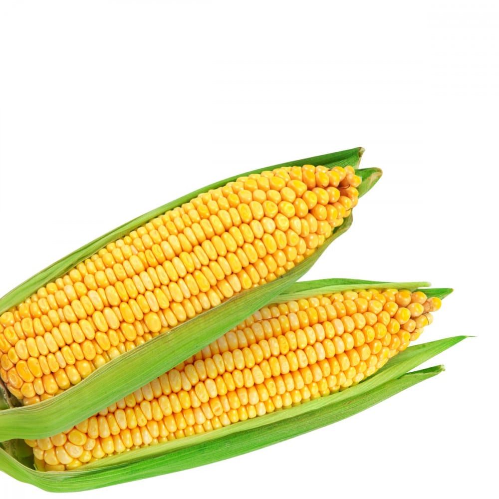 Augason Farms – Freeze Dried Sweet Corn #10 Can 16 oz