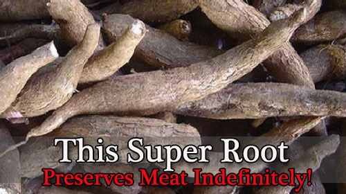 This-Super-Root-Preserves-Meat-Indefinitely
